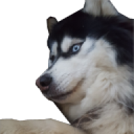 jpok