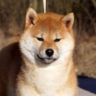 EhNoT