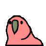 ssqls